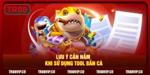 Lưu ý cần nắm khi sử dụng tool bắn cá